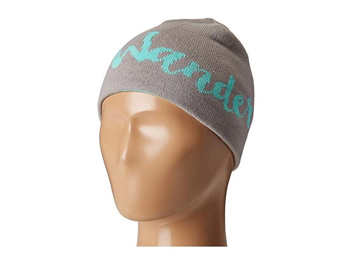 The North Face Kids Anders Beanie (big Kids) (metallic Silver/bermuda Green Multi (prior Season)) Beanies
