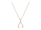 Dee Berkley 14kt Solid Rose Gold Wishbone Necklace (rose Gold) Necklace