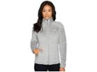 The North Face Osito 2 Jacket (high Rise Grey/mid Grey Stripe) Women's Coat