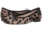 Sam Edelman Felicia (grey Multi Clouded Leopard Brahma Hair) Women's Flat Shoes
