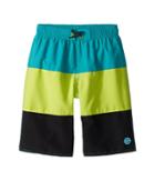 Speedo Kids Blocked Volley Shorts (little Kids/big Kids) (marine Green) Boy's Swimwear