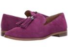 Franco Sarto Hadden (grape Suede) Women's Shoes