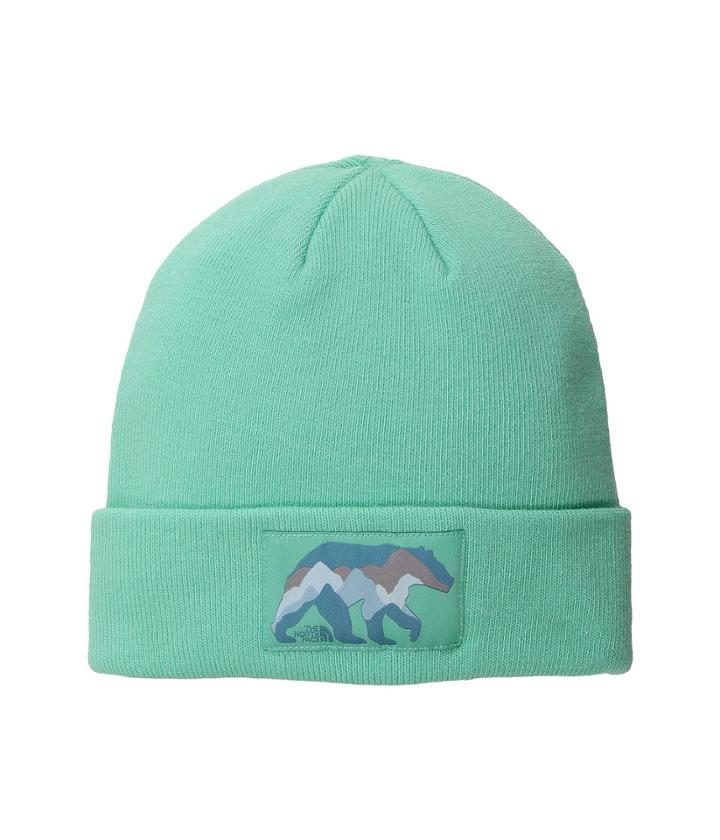 The North Face Kids Dock Worker Beanie (big Kids) (bermuda Green/harbor Blue Multi) Beanies