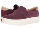 Dr. Scholl's Kinney (violet Microfiber) Women's  Shoes