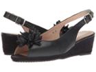 Sesto Meucci Bobby (navy Nappa/navy Cartizze Bow) Women's Sandals