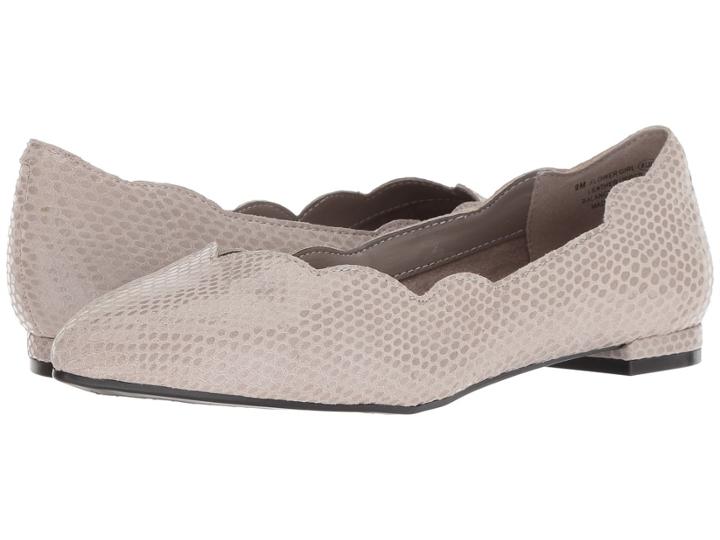 Aerosoles Flower Girl (grey Snake) Women's  Shoes