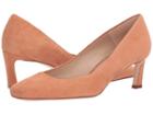 Stuart Weitzman Chelsea (ballet Seda Suede) Women's Shoes