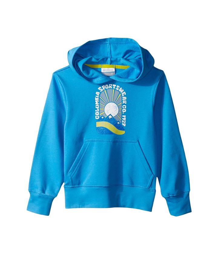 Columbia Kids Csc Youth Hoodie (little Kids/big Kids) (peninsula) Boy's Sweatshirt