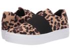 Steve Madden Giggle (leopard) Women's Shoes