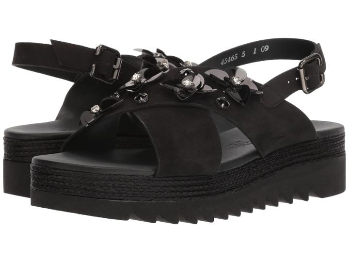 Paul Green Starsky (black Soft Nubuck) Women's Shoes