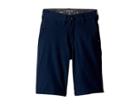 Quiksilver Kids Union Amphibian Shorts 19 (big Kids) (navy Blazer) Boy's Shorts