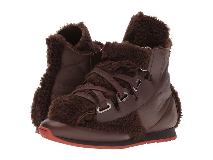 Vivienne Westwood 3 Tongue Trainer (chocolate Brown) Men's Lace Up Casual Shoes
