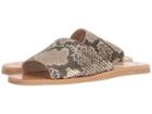 Dolce Vita Cato (snake Print Embossed Leather) Women's Shoes