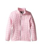 The North Face Kids Thermoball Full Zip Jacket (little Kids/big Kids) (lilac Sachet Pink (prior Season)) Girl's Coat