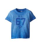 Polo Ralph Lauren Kids Cotton Jersey Graphic T-shirt (toddler) (new Iris) Boy's T Shirt