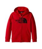The North Face Kids Logowear Full Zip Hoodie (little Kids/big Kids) (tnf Red/tnf Black) Boy's Sweatshirt