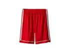 Adidas Kids Squadra 17 Shorts (little Kids/big Kids) (power Red/white) Boy's Shorts