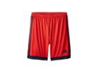 Adidas Kids Tastigo 15 Shorts (little Kids/big Kids) (vivid Red S13/collegiate Navy) Kid's Shorts