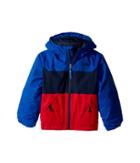 The North Face Kids Brayden Insulated Jacket (toddler) (bright Cobalt Blue (prior Season)) Boy's Coat
