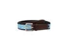 Vineyard Vines Striped Bass Canvas Club Belt (turquoise) Men's Belts