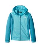 The North Face Kids Tech Glacier Full Zip Hoodie (little Kids/big Kids) (blue Curacao/algiers Blue Heather/tnf White) Girl's Sweatshirt