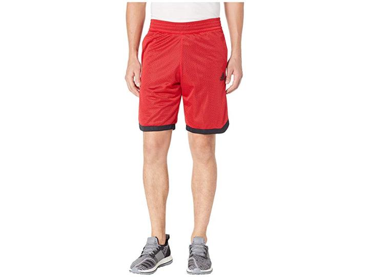 Adidas Sport Mesh Shorts (scarlet) Men's Shorts