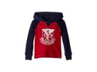 Polo Ralph Lauren Kids Waffle-knit Graphic Hoodie (toddler) (park Avenue Red) Boy's Sweatshirt