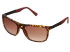 Guess Gu6843 (dark Havana/gradient Brown) Fashion Sunglasses