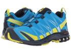 Salomon Xa Pro 3d Gtx(r) (cloisonne/navy Blazer/sulphur Spring) Men's Shoes