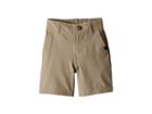 Quiksilver Kids Union Amphibian Shorts (toddler/little Kids) (elmwood) Boy's Shorts