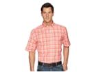 Ariat Country Horizon Narcisso Shirt (dubarry) Men's Short Sleeve Button Up