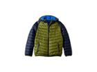 Jack Wolfskin Kids Zenon Jacket (infant/toddler/little Kids/big Kids) (cypress Green) Kid's Coat