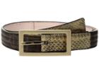 Calvin Klein 25mm Trapunto Strap W/ Flat Tabs (brown Logo/gold Snake/brushed Gold) Women's Belts
