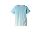 Adidas Kids Melbourne Tee (little Kids/big Kids) (semi Frozen Yellow/ash Blue) Boy's T Shirt