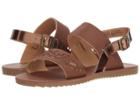 Rachel Kids Reanne (little Kid/big Kid) (brown/metallic) Girl's Shoes