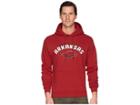 Champion College Arkansas Razorbacks Eco(r) Powerblend(r) Hoodie 2 (cardinal) Men's Sweatshirt