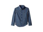 Polo Ralph Lauren Kids Plaid Cotton Twill Shirt (little Kids/big Kids) (blue Multi) Boy's Clothing