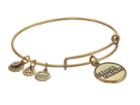 Alex And Ani Carolina Panthers Logo Charm Bangle (rafaelian Gold Finish) Bracelet