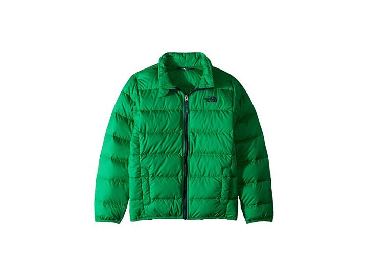 The North Face Kids Andes Jacket (little Kids/big Kids) (primary Green) Boy's Coat