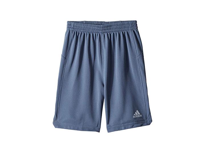 Adidas Kids Sport Shorts (toddler/little Kids) (grey/red) Boy's Shorts