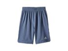 Adidas Kids Sport Shorts (toddler/little Kids) (grey/red) Boy's Shorts