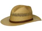 Brixton Case Fedora (tan) Fedora Hats