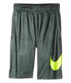 Nike Kids Dry Printed Training Short (little Kids/big Kids) (vintage Green/volt) Boy's Shorts