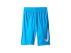 Nike Kids Dry Basketball Short (little Kids/big Kids) (blue Hero/blue Void/blue Void/white) Boy's Shorts