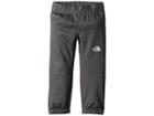 The North Face Kids Surgent Pants (toddler) (tnf Medium Grey Heather) Boy's Casual Pants