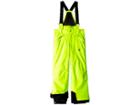 Spyder Kids Guard Pants (big Kids) (bryte Yellow/black) Boy's Outerwear