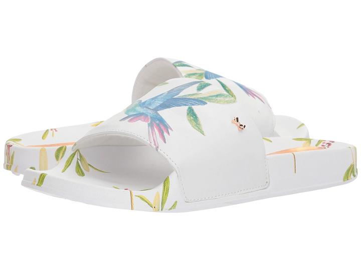 Ted Baker Aveline (hummingbird Synthetic) Women's Shoes