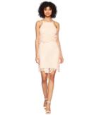 Bb Dakota Bryn Bodycon Lace Dress (salmon) Women's Dress