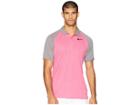 Nike Golf Dry Polo Raglan (rush Pink/burgundy Crush/heather/black) Men's Clothing