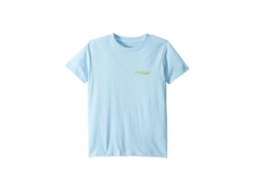 Spyder Kids Mountain Stripe Short Sleeved T-shirt (big Kids) (organic Heaven/organic Heaven) Boy's T Shirt